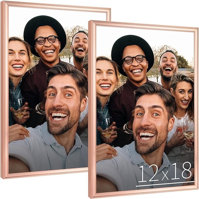 2 PK Anozie 12×18 Picture Frame Rose, 12 x 18 Picture Frames with HD Plexiglass
