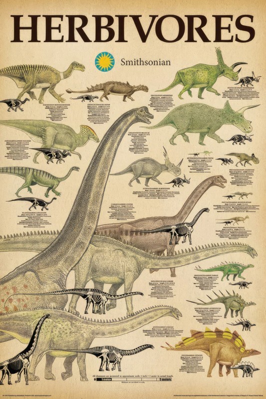 Dinosaurs - Educational 2 Piece Poster Set (Carnivores & Herbivores) (24" x 36") gallery