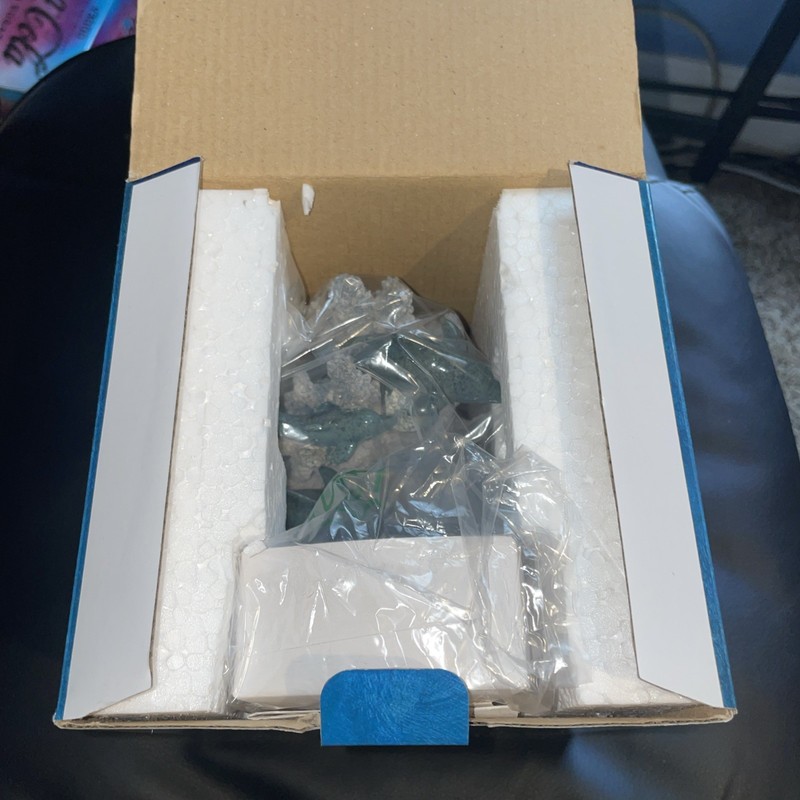 (Works!) Newport Coast Collection Playful Dolphin Collectors Series Open Box gallery
