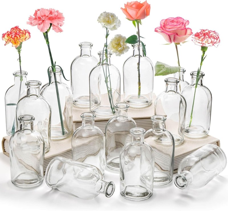 YOUEON 16 Pa Clear Glass Bud Vases, Small Bud Vases in Bulk, Glass