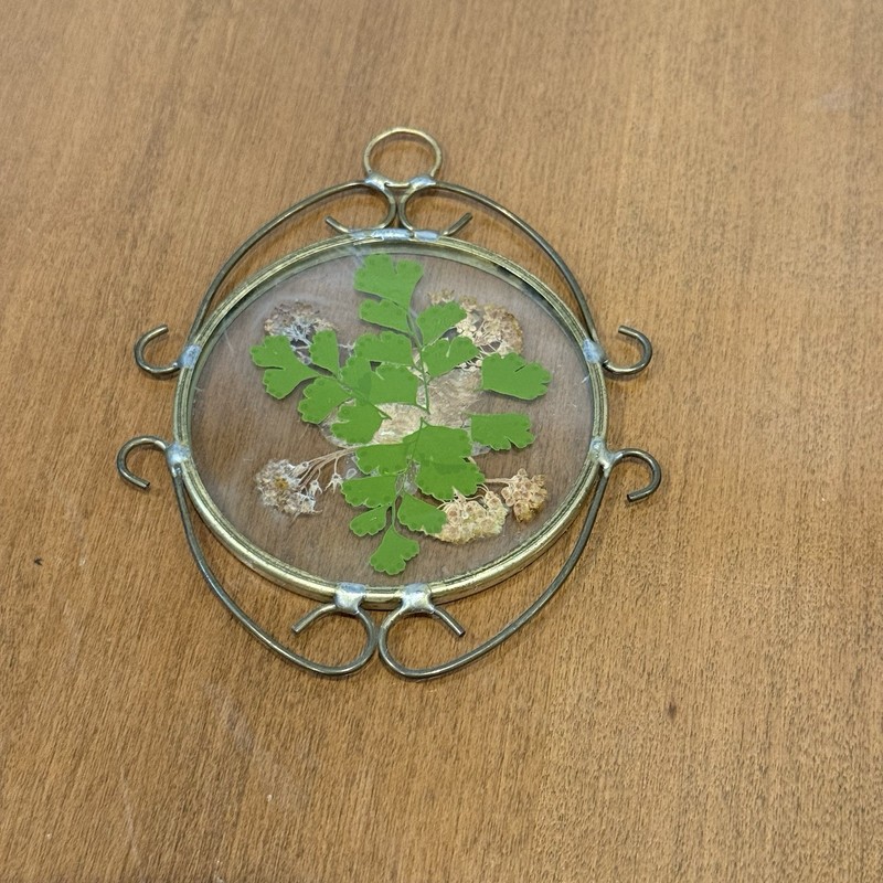 Vintage Pressed Dried Flowers Suncatcher Ornamental Pewter Frame Botanical Art gallery