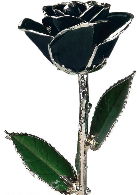 11″ Black Platinum Dipped Real Rose