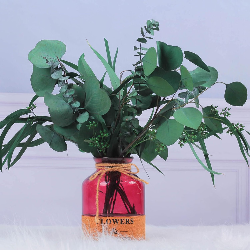 12 Pcs Mixed Real Dried Eucalyptus Leaves Stems - Preserved Eucalyptus gallery