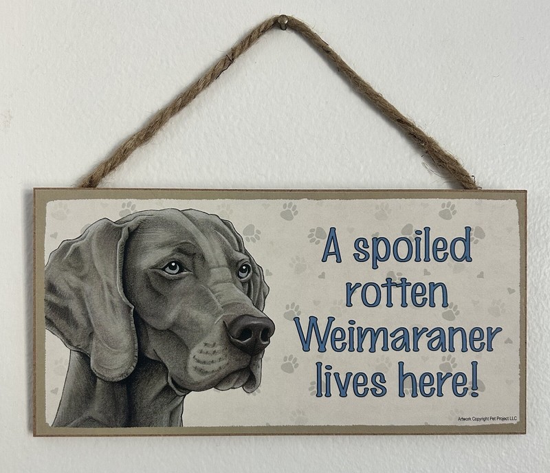 “A Spoiled Rotten Weimaraner Lives Here”Paw Prints DOG SIGN 5×10” *HANGING SIGN*