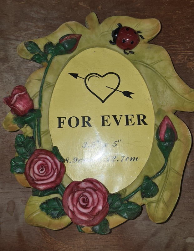 Floral Resin Ladybug “FOR EVER” Heart Arrow Oval Freestanding 3.5×5 Frame