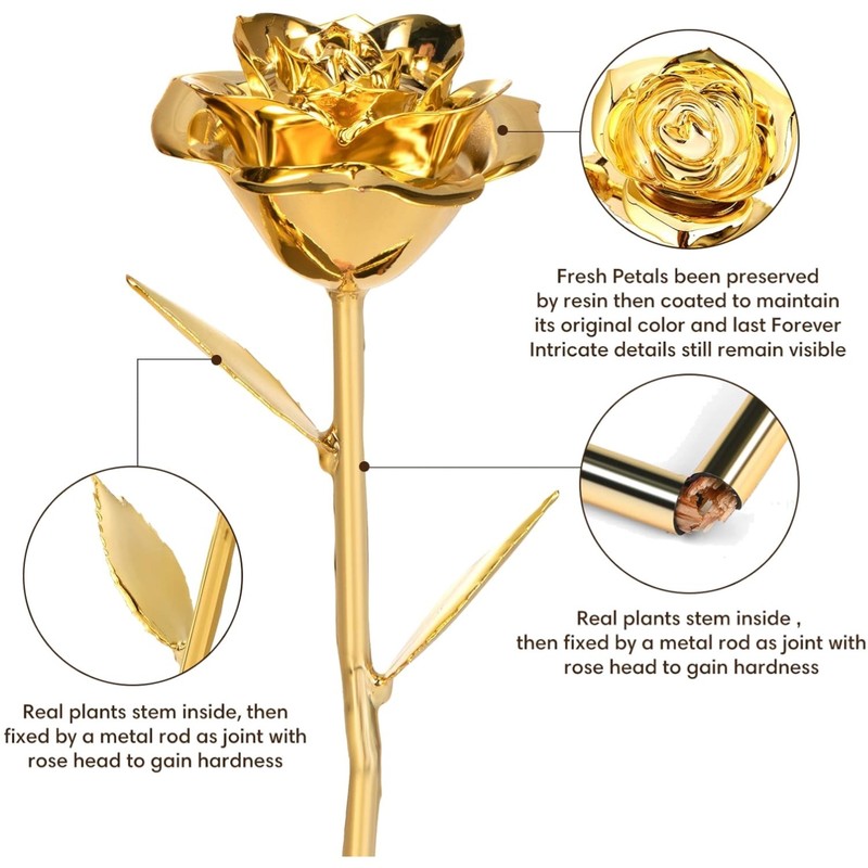 Gold Dipped Real Rose – Romantic Gift for Special Occasions