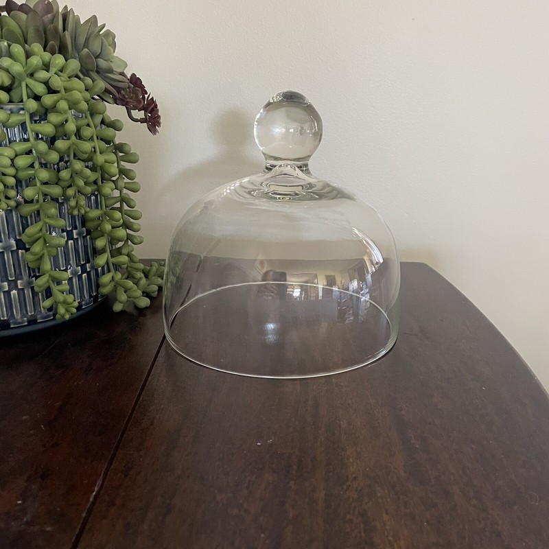 Cloche Jar 6.5” W Clear Glass Display Dome with Knob Cheese Plant Food