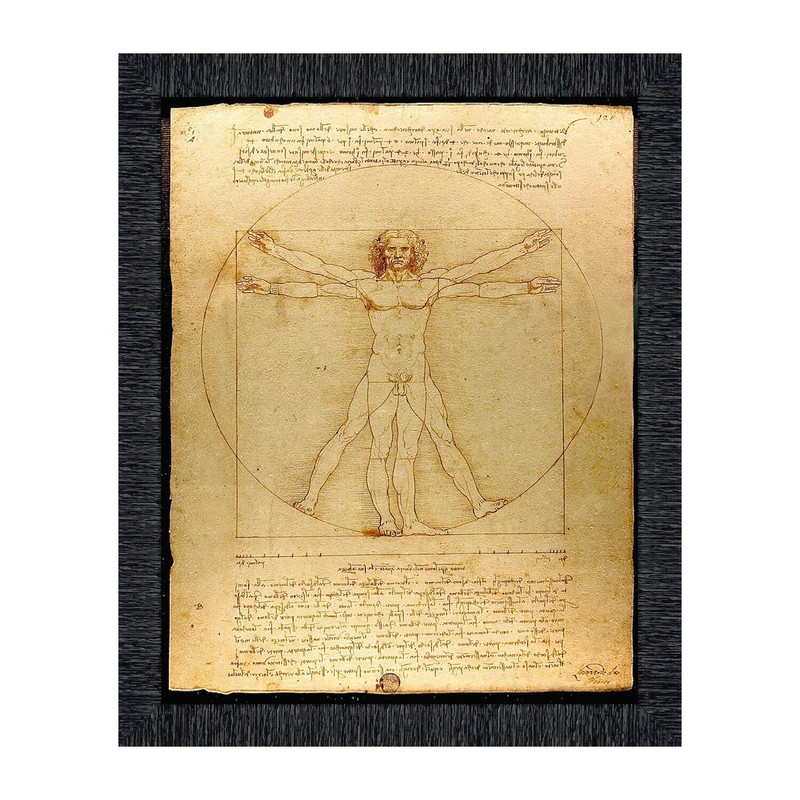 The Vitruvian Man Leonardo Da Vinci, World Famous Wall Art Collection