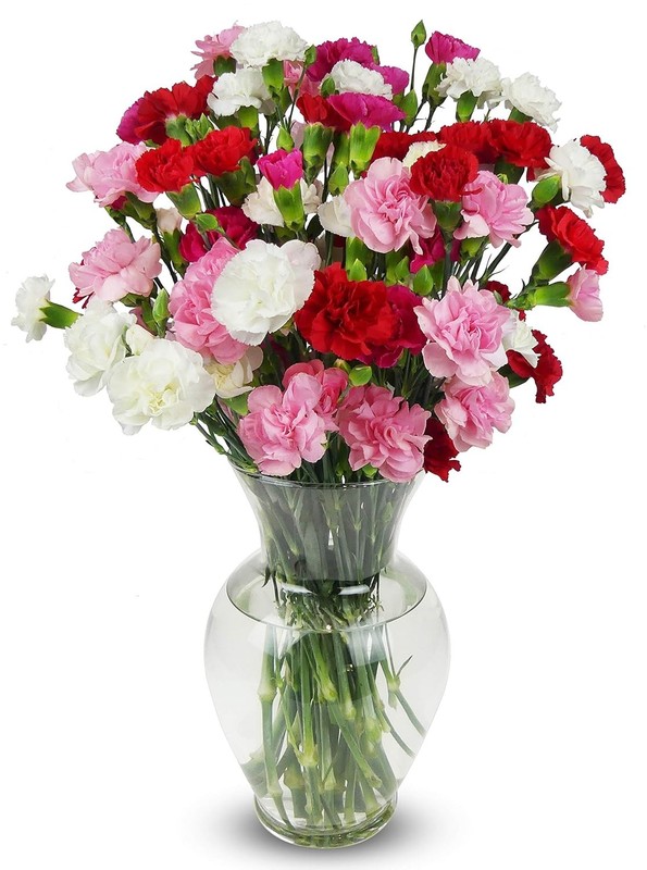 Benchmark Bouquets – 20 Stem Rainbow Mini Carnations (Glass Vase Included) – Fre