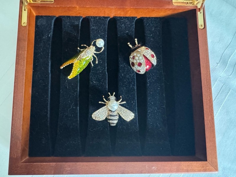Wood Glass Shadow Box Display Case Miniature for Table With Insect Brooches 7x6 gallery