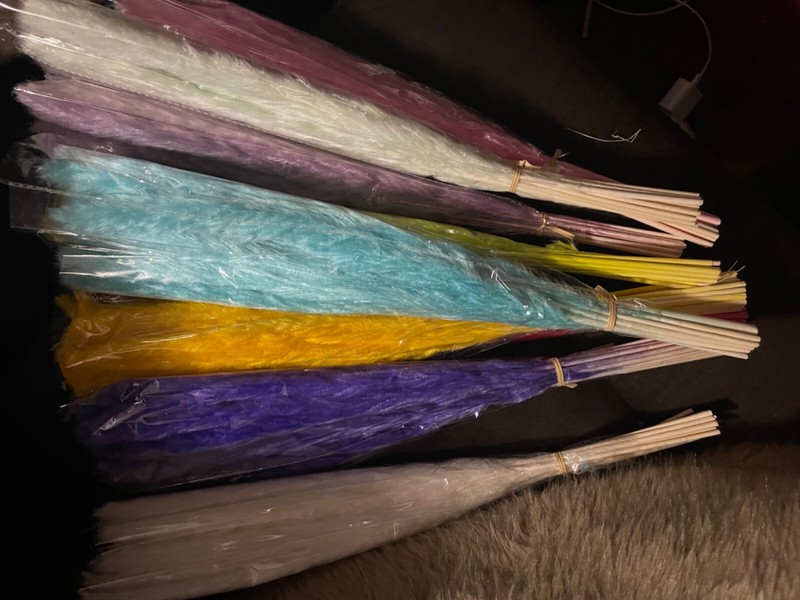 colorful pampas grass, fluffy flowers, beautiful decor, home decor 