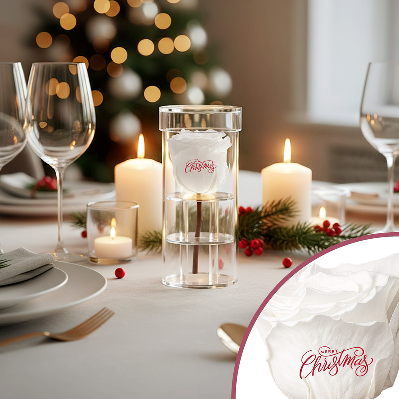 Speaking Roses Preserved Rose in Crystal Display | “Merry Christmas” Message