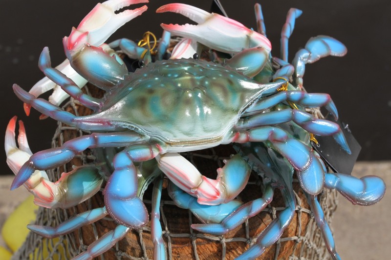 1-BLUE CRAB 10 Inch Wall Hanging,Life Like Specifics,Beach Decor,Gifts,CR-10 gallery