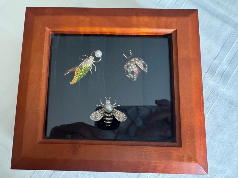 Wood Glass Shadow Box Display Case Miniature for Table With Insect Brooches 7×6