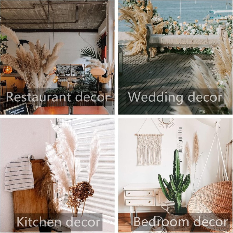 Pampas Grass Home Decor 40 Inch Tall 10 Count Elegant Dried Flower Arrangements gallery
