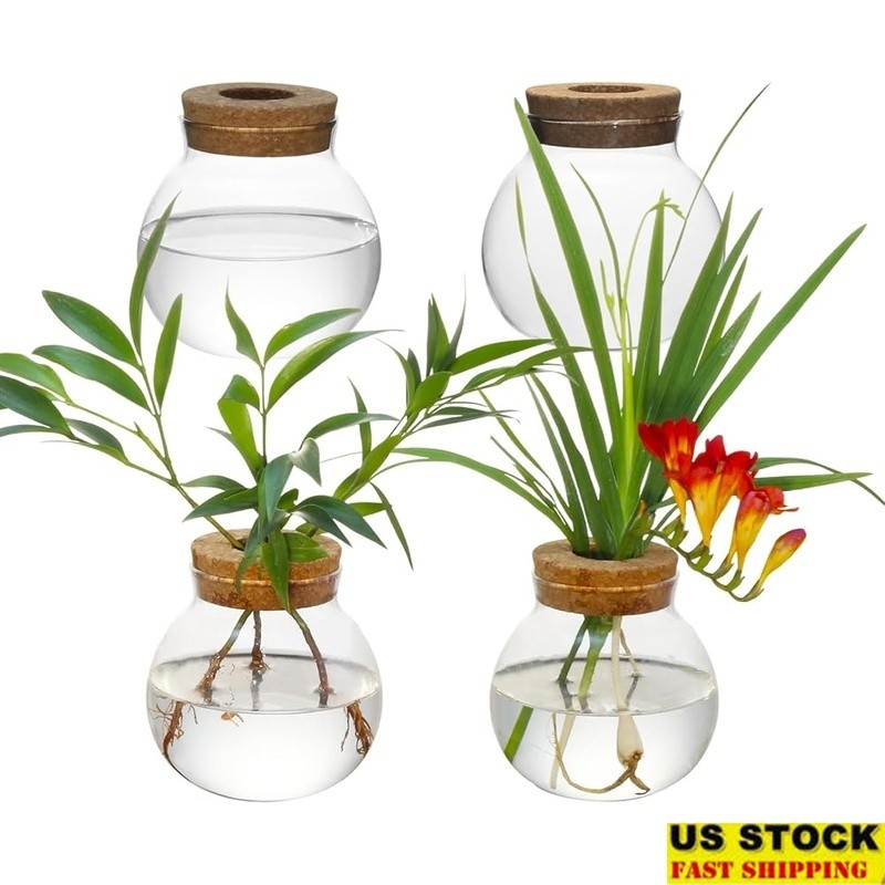 Hydroponic Glass Container Set Seedling Station Plant Propagation Decor New