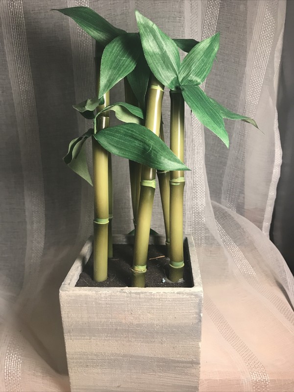 Potted Bamboo Plant Garden Box Faux NEW Decorative Greenery Planter Tabletop
