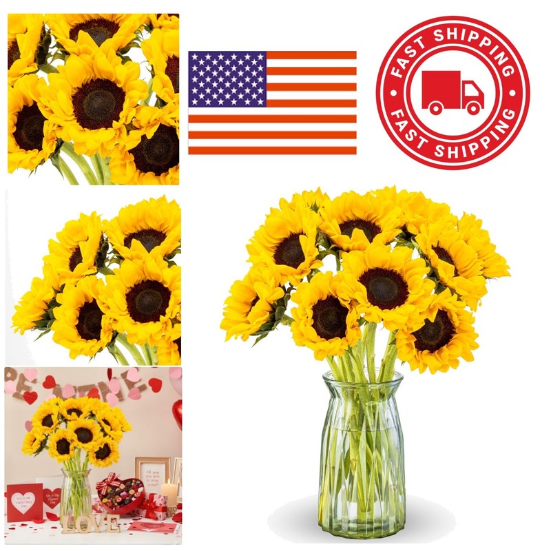 Sunflower Gift Bouquet with Vase 10 Stems for Sympathy and Congratulations