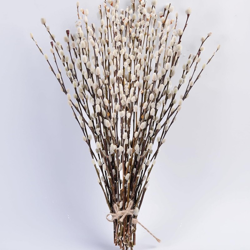 45 Stems 17＂Real Dried Pussy Willow Branches for Vase，100% Natural PussyWillows