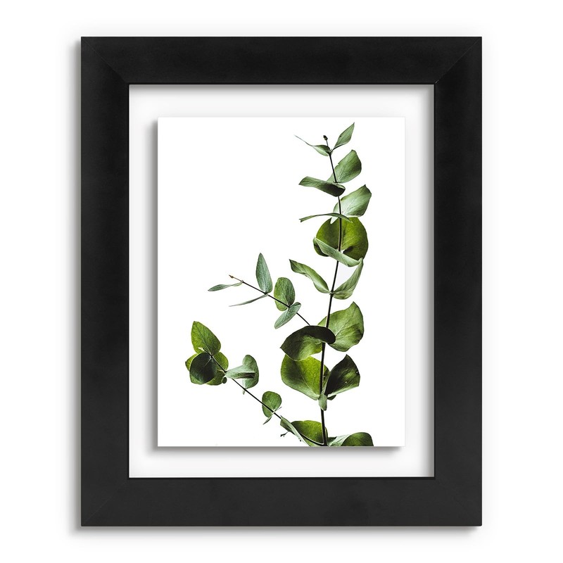 8×10 Black Wood Floating Picture Frame Wall Mount Pressed Flower Display Gallery