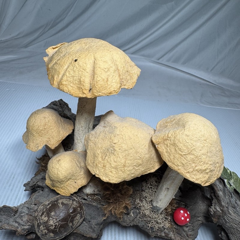 Tabletop Centerpiece Mushroom Bundle Botanical Accent Piece Decor Whimsical gallery