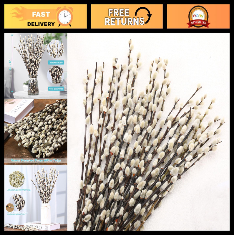 Dried Pussy Willow Branches – 25 Stems, 17″ Natural Decor for Vases & Weddings