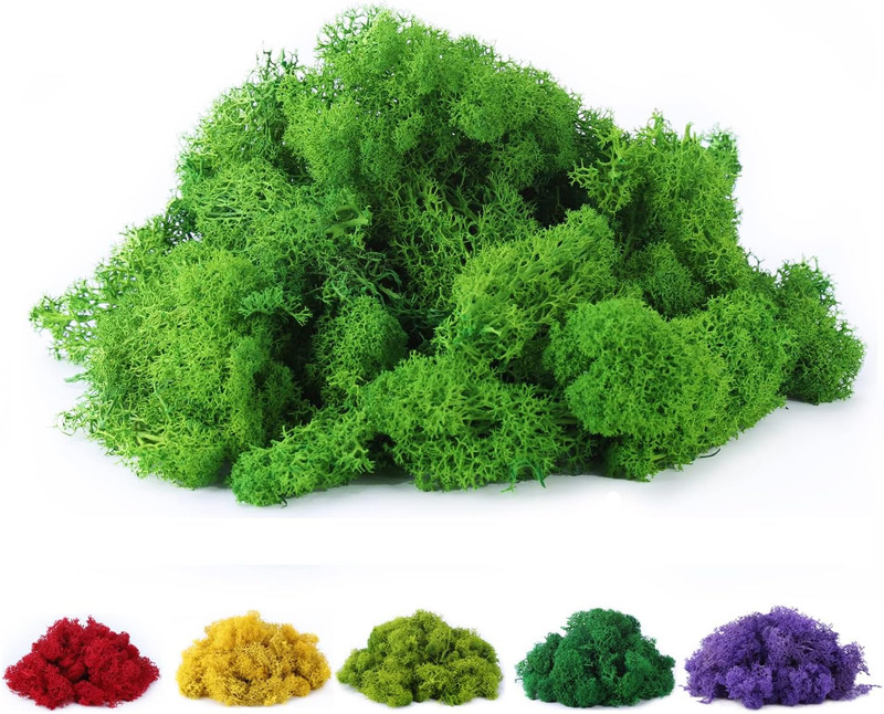 Fake Moss Preserved Reindeer Moss 3.5 OZ for Potted Plants, Arts and Crafts, Ter