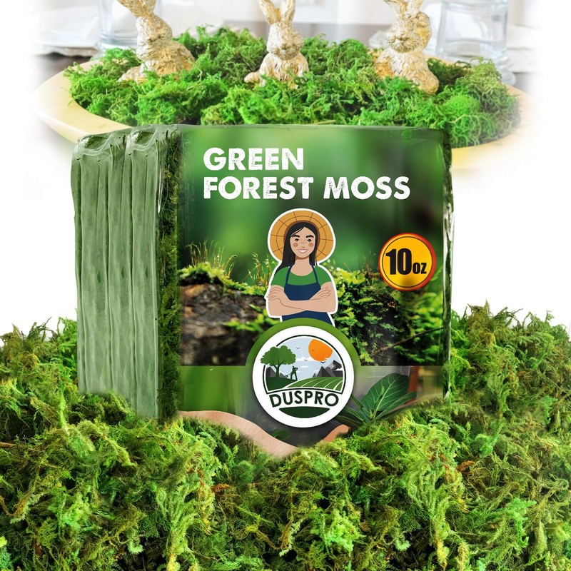 [Upgraded] Green Moss for Crafts, Real Forest Moss Potted Plants, Decorative Mo