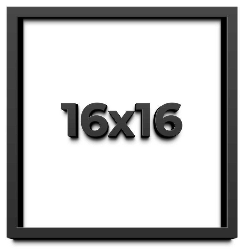 16×16 Shadowbox Gallery Wood Frames – Black DEEP Shadow Box Frame with a Display