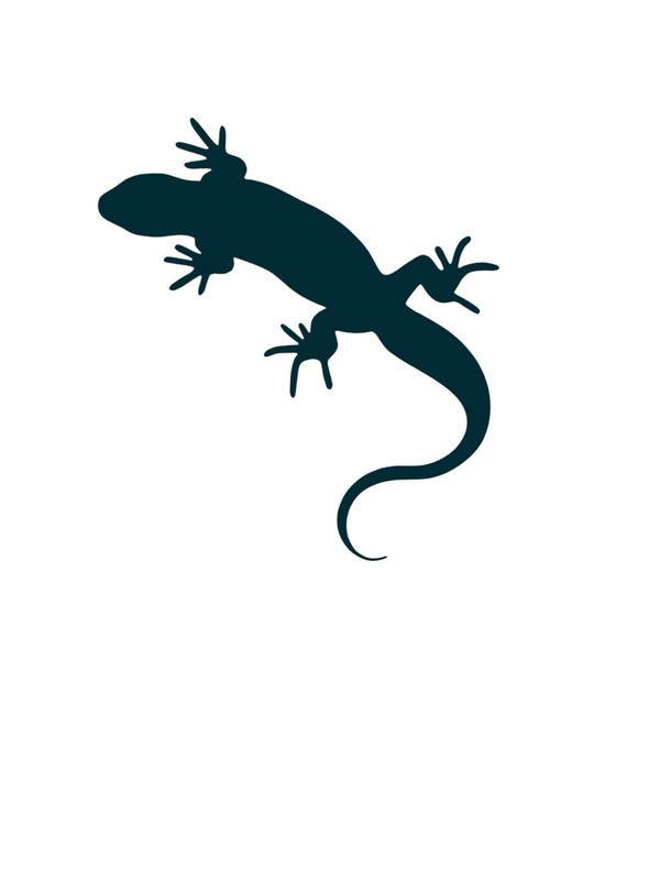 Gecko design#1 Decal for car Windows Laptops most Smooth Surfaces gallery