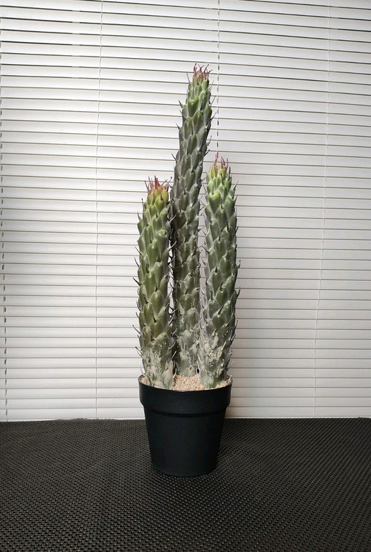 22" Succulent Cactus Realistic Artificial Plant Home Office Decor Brand New gallery