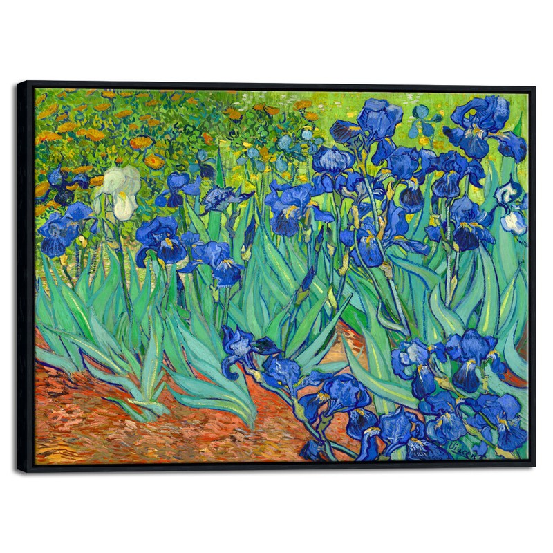 Irises by Van Gogh Fine Art Painting Reproduction Canvas Print Picture Framed
