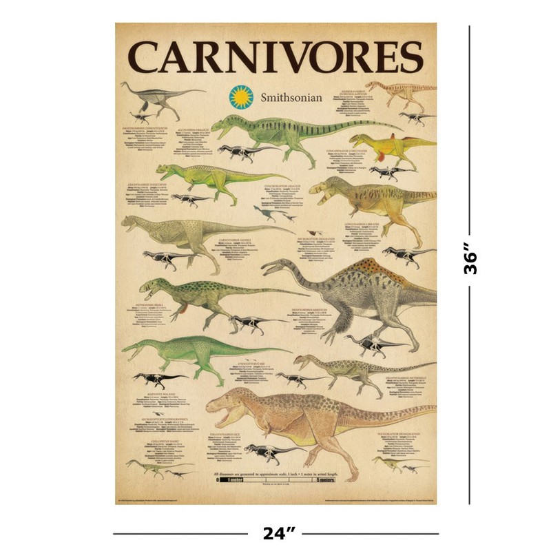 Dinosaurs - Educational 2 Piece Poster Set (Carnivores & Herbivores) (24" x 36") gallery