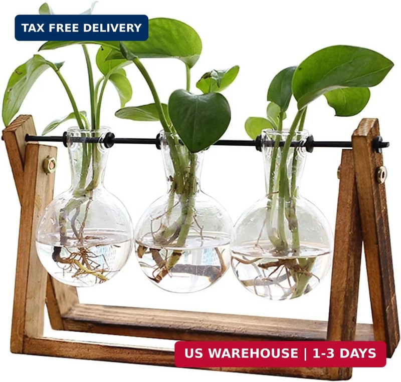 XXXFLOWER Plant Terrarium with Wooden Stand, Air Planter Bulb Glass Vase Metal S