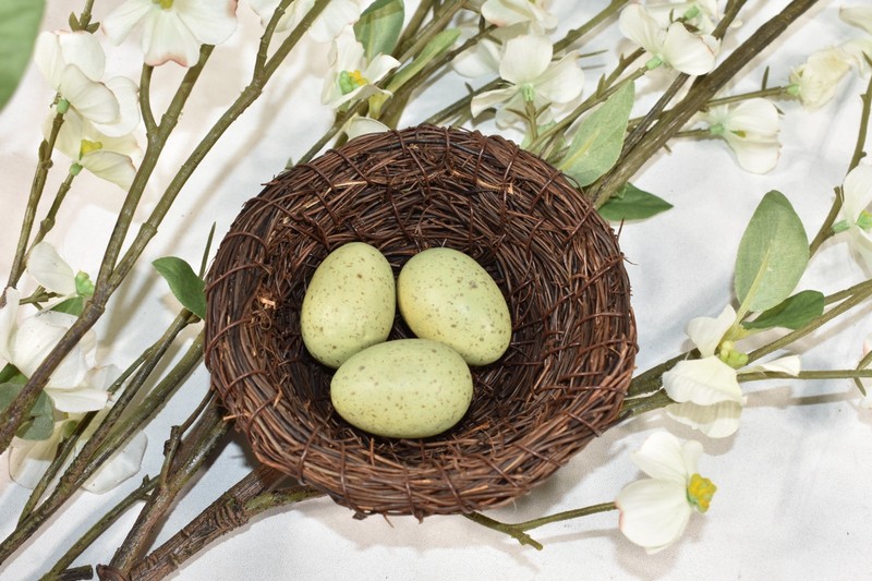 Pottery Barn Faux Dogwood Branch w/ Nest & Eggs Artificial Flowers 38" Stem NEW gallery