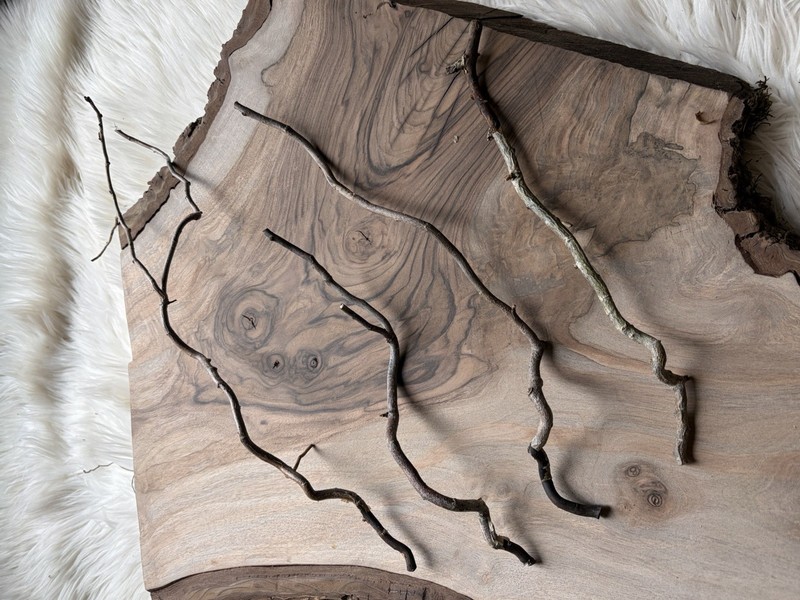 Dried Corkscrew Willow Branches for Home Decor gallery