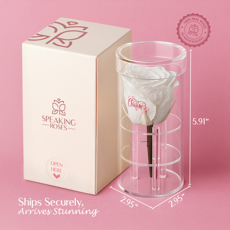 Speaking Roses Preserved Rose in Crystal Display | "Merry Christmas" Message gallery