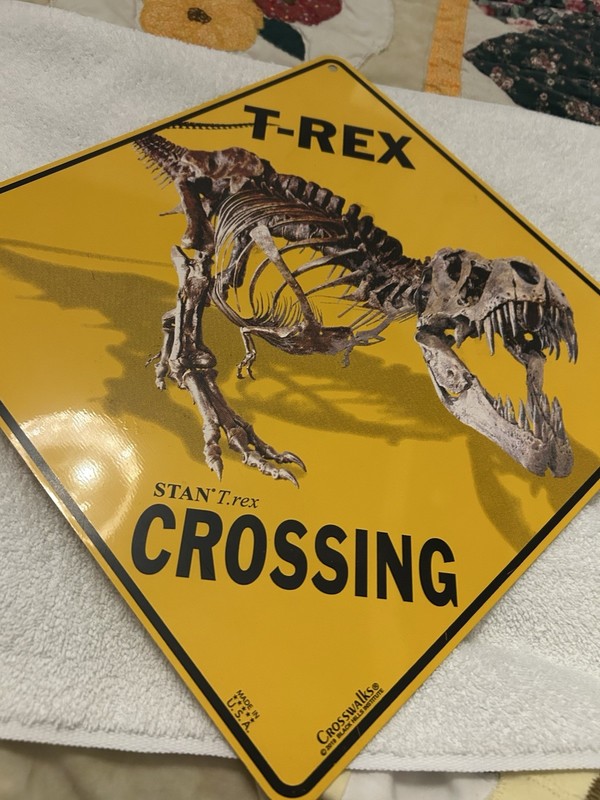 Metal Sign Crosswalks T-Rex Crossing Yellow Dinosaur Fossil Image 12×12 Aluminum