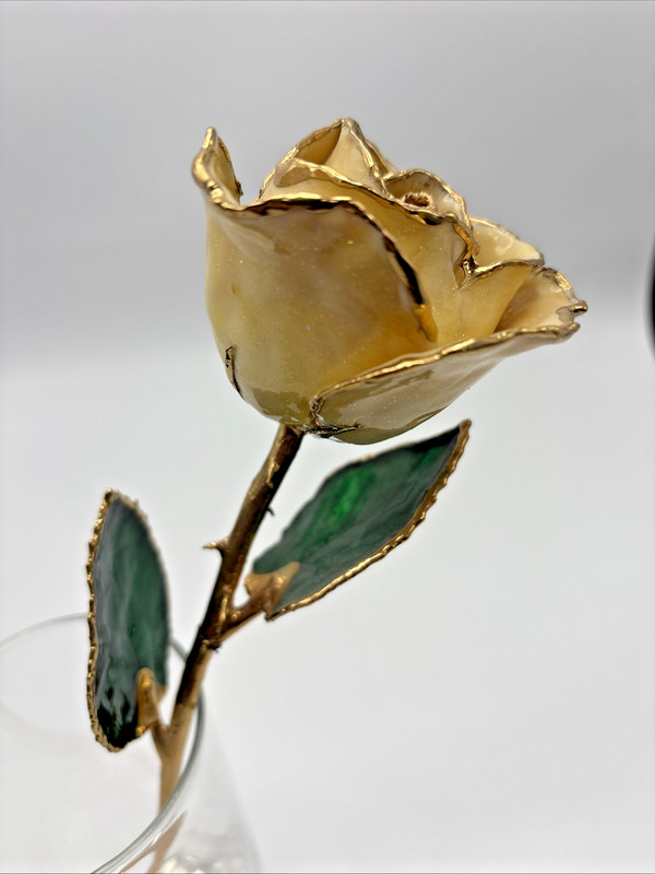 Rose Ivory 24K Gold Dipped 11.5″ Forever Rose Anniversary Valentine’s Gift (C)