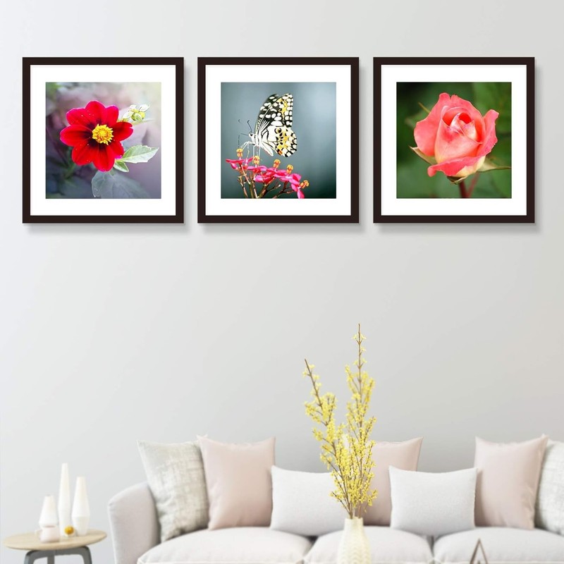 20x20 Frame Black With Mat 16x16 Solid Wood Picture Frames 3 pack gallery