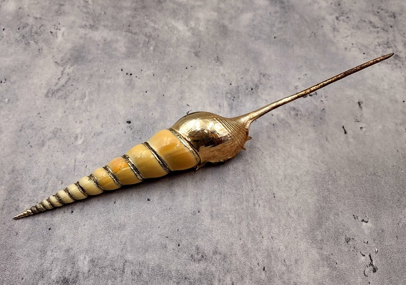 Silver-Plated Shin-Bone Tibia (1 Shell approx. 6+ inches)