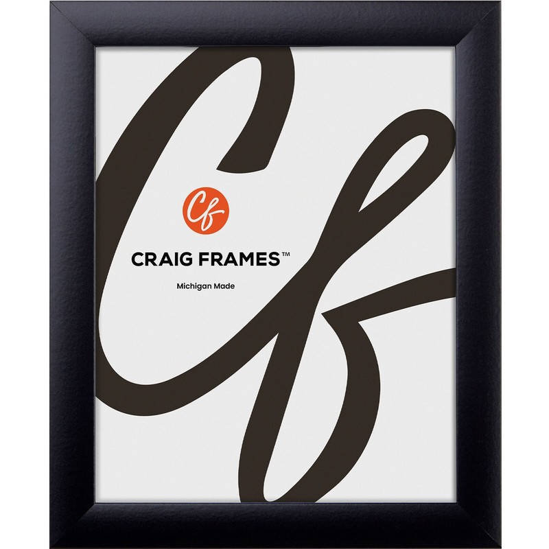 Craig Frames 1" Wide Modern Satin Black Assembled Picture Frames & Poster Frames