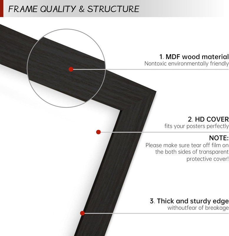 27x40 Large Picture Frame for Wall - Vertical/Horizontal Poster Display gallery