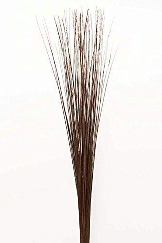 Wispies Pack of 100 Stems 3-4ft Dark Brown