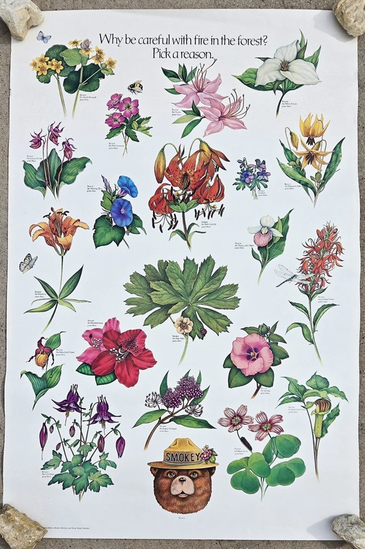 Vintage 1980s Smokey Bear US Forest Service Educational Poster Flowers
