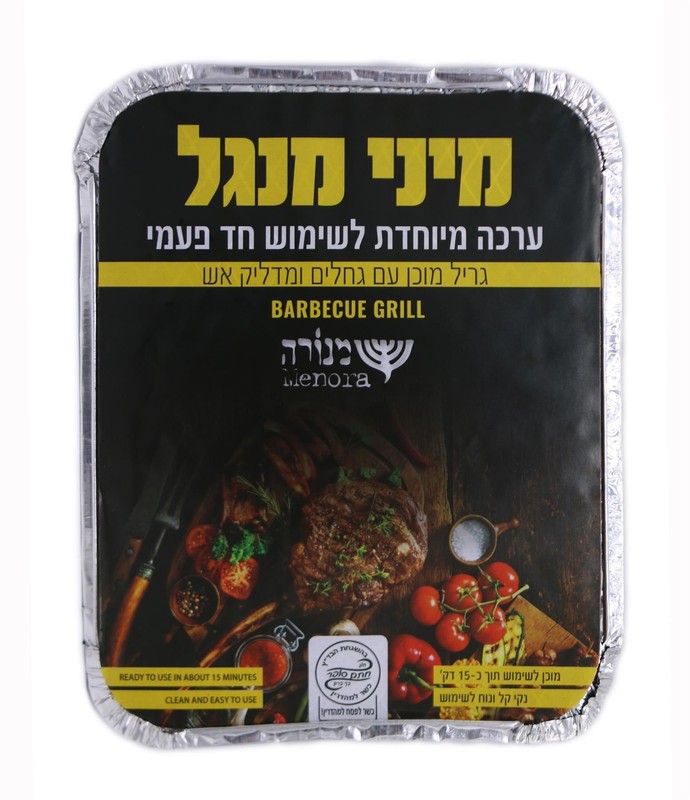 Kosher Disposable BBQ Outdoor Instant Charcoal Easy use Barbecue Grill Camping