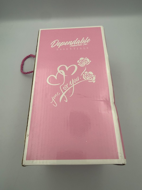 Dependable Industries Red Rose In Glass Dome LED Light Up Gift gallery