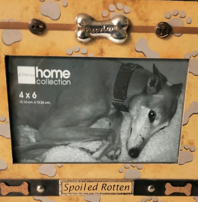 Dog Photo Frame Puppy Love. Spoiled Rotten 4×6 Unused Adorable!