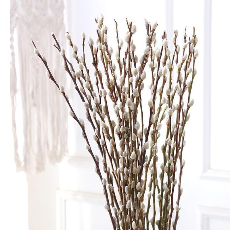 30 Branches Pussy Willow Branches for Vases 23 Inches Natural Dried Pussy Wil…