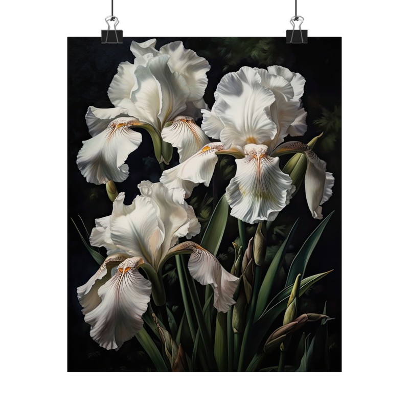 White Iris Flower Art Print Poster, Flower Painting, Flower Décor, White Irises